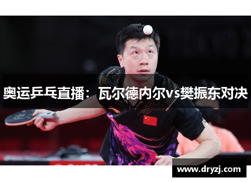 奥运乒乓直播：瓦尔德内尔vs樊振东对决